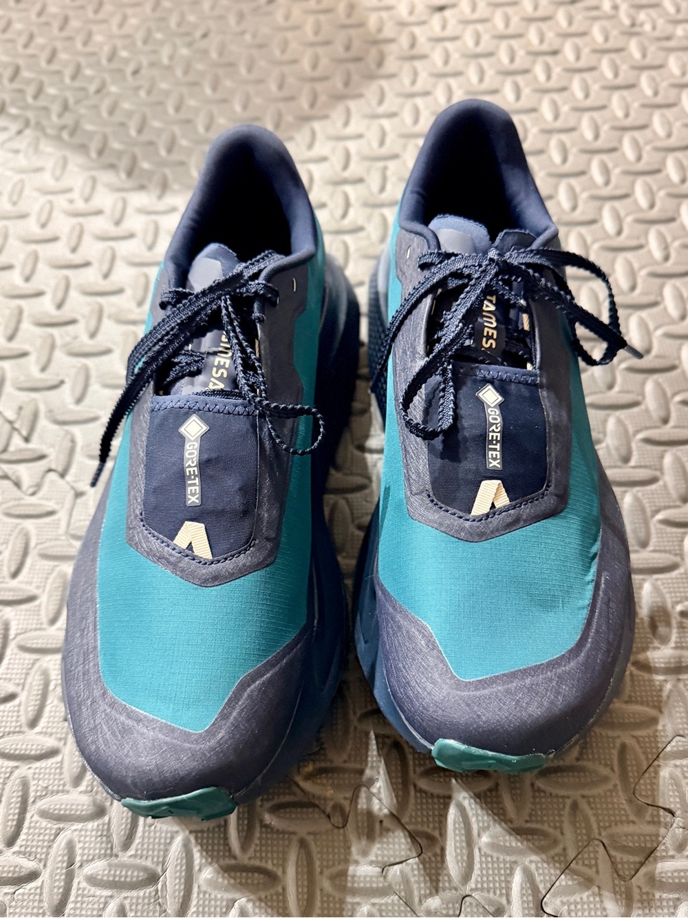 The North Face Altamesa 500 V2 GORE-TEX – Men’s 12 (NEW)